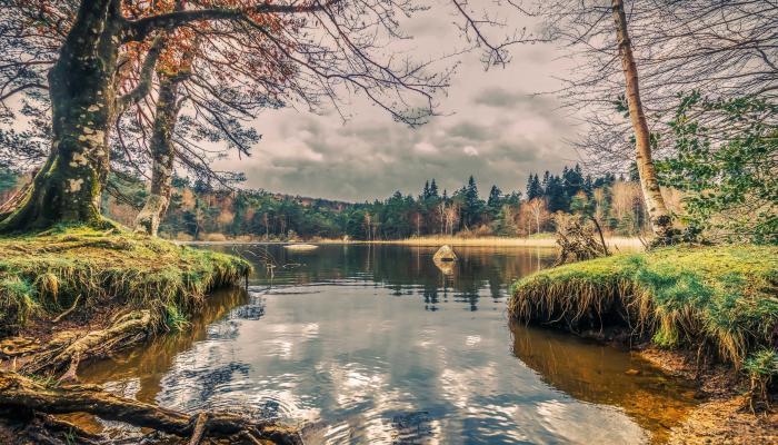 Lake Trees 4K Nature Wallpaper