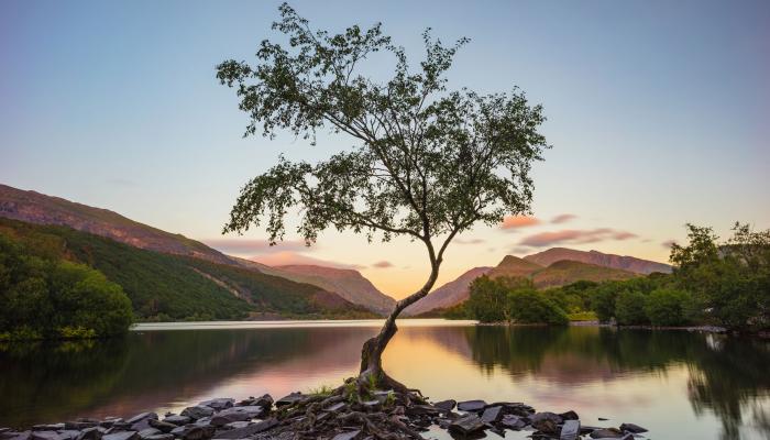 Landscape 4K Nature Wallpaper