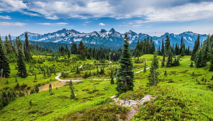Landscape 4K Nature Wallpaper