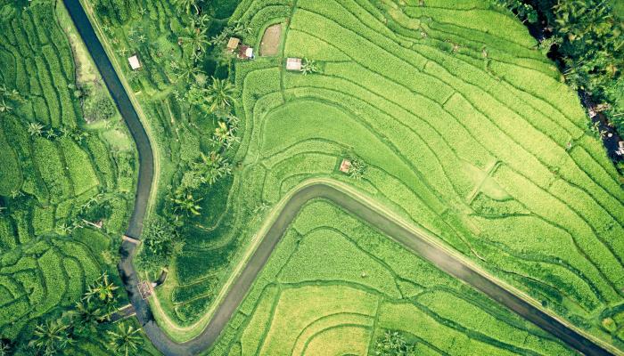 Landscape Fields 4K Nature Wallpaper