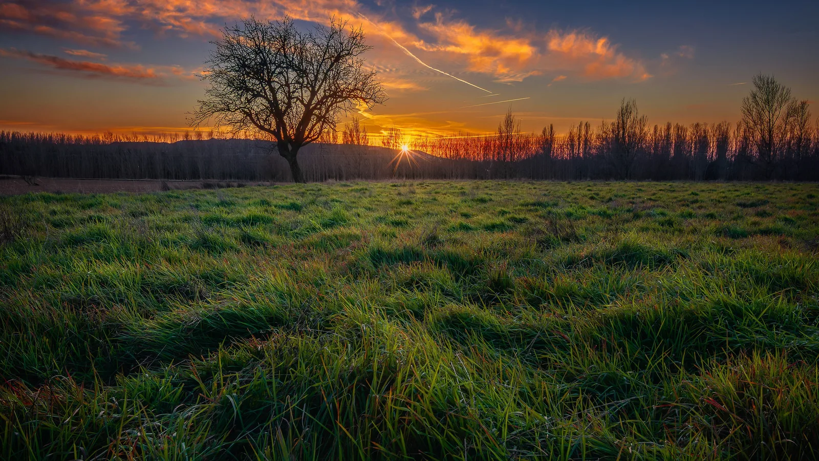 Landscape Fields 4K Nature Wallpaper