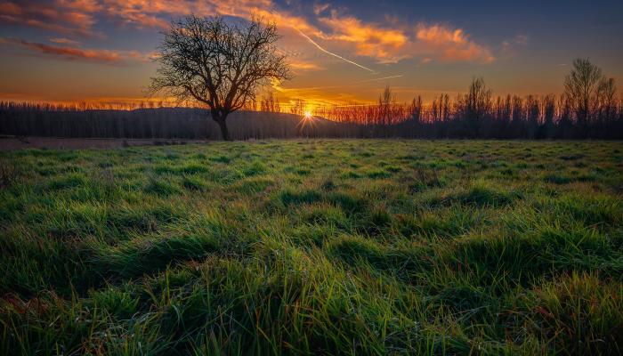 Landscape Fields 4K Nature Wallpaper