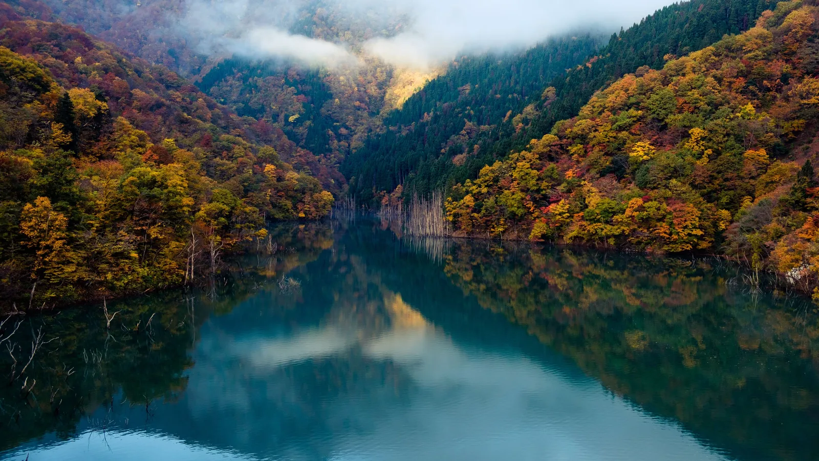 Landscape Forest River 4K Nature Wallpaper