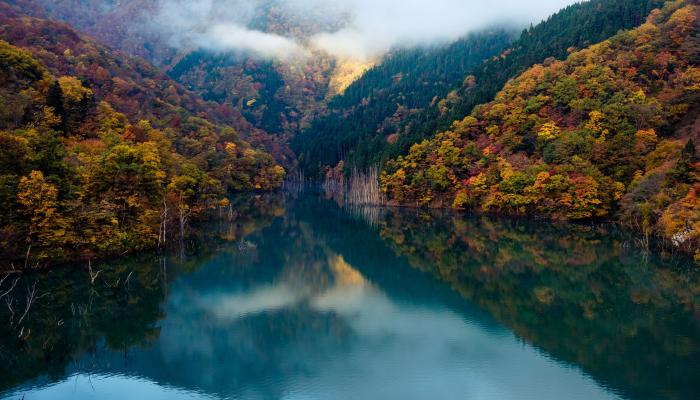 Landscape Forest River 4K Nature Wallpaper