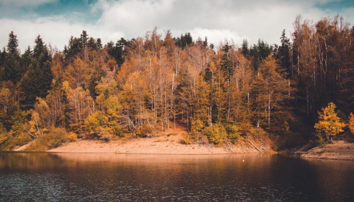 Landscape Lake 4K Nature Wallpaper