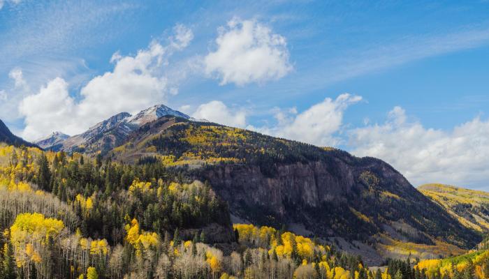 Landscape Mountains Forest 4K Nature Wallpaper