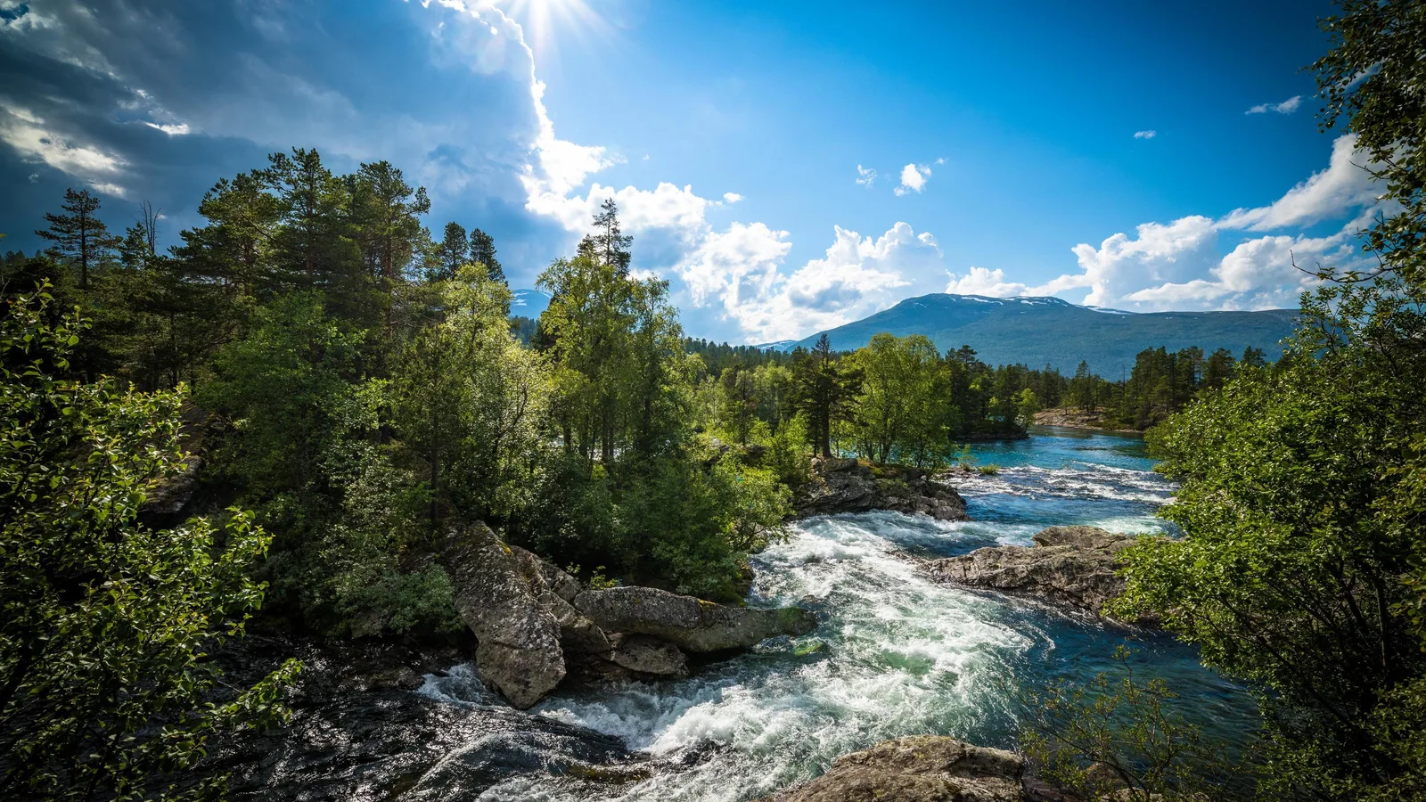 River 4K Nature Wallpaper
