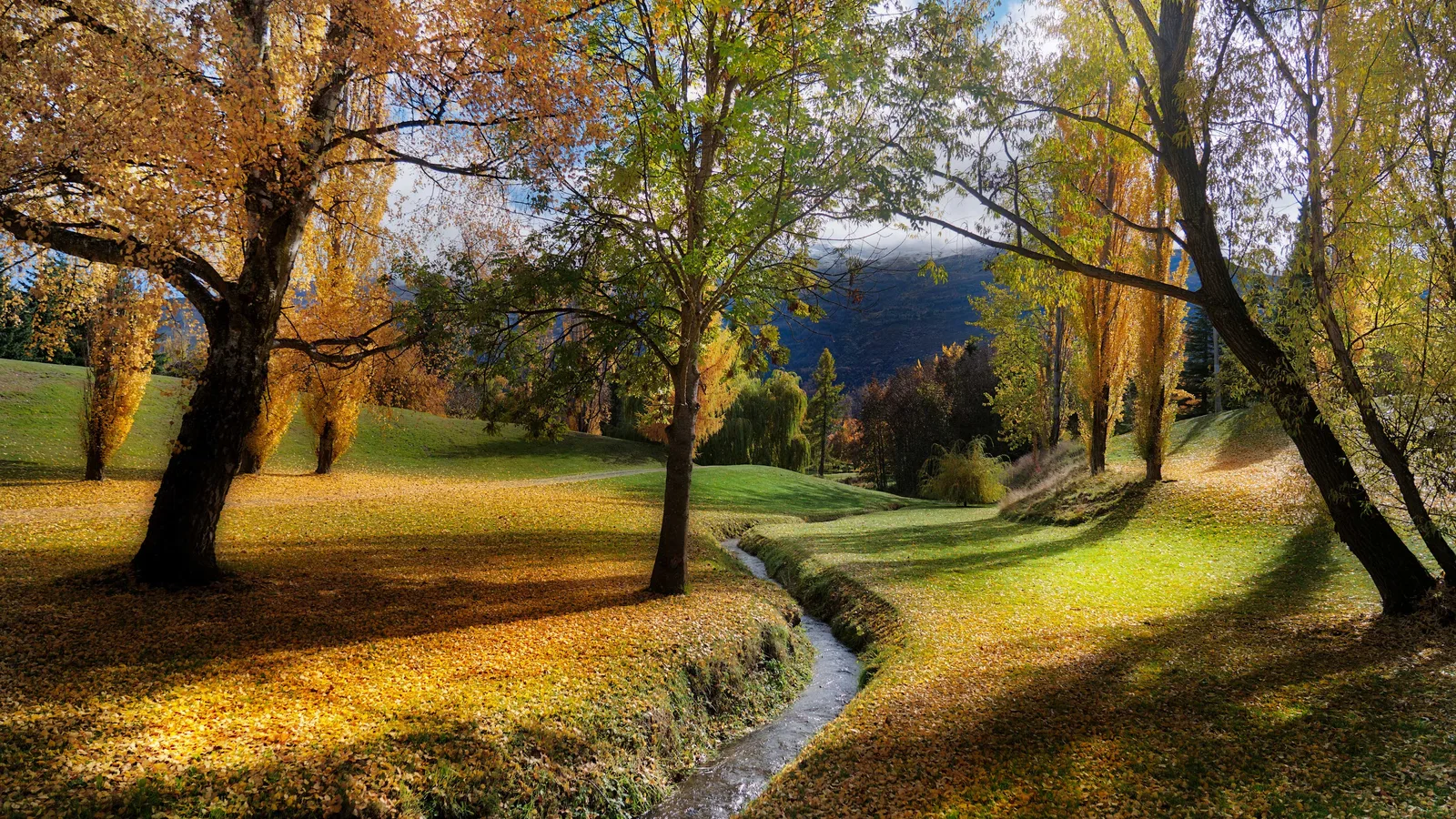 New Zealand Landscape Autumn Trees 4K Nature Wallpaper