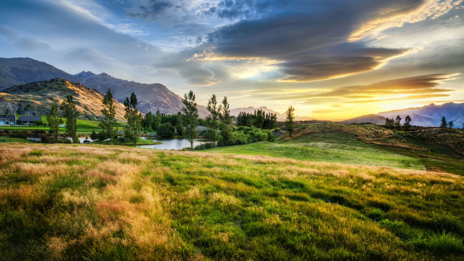 New Zealand Landscape Sunset Trees 4K Nature Wallpaper